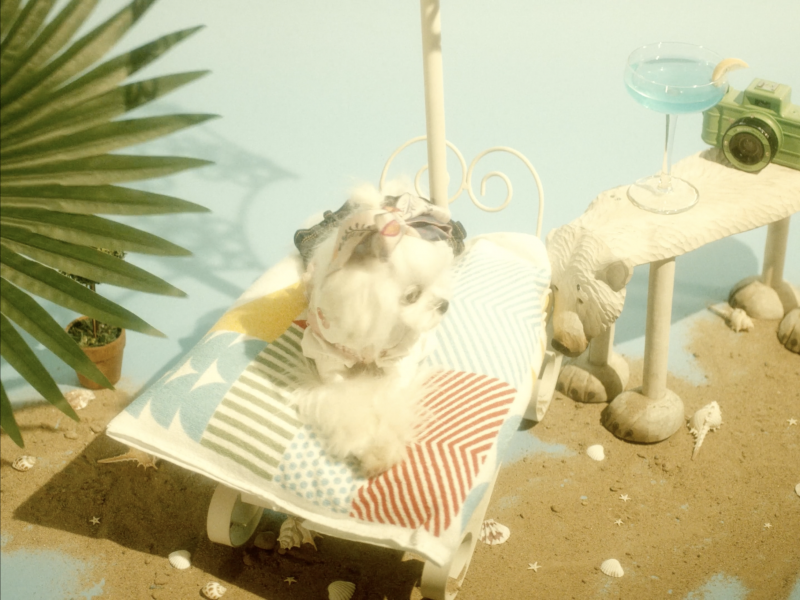 Mogu Street Commercial